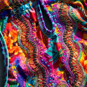 Rainbow Snake