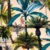 Palm